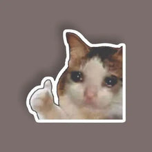 Cry Cat - Random Sticker