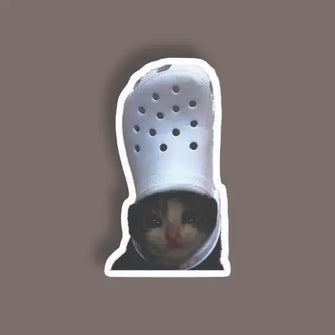 Cat with a Slipper on head - Random Sticker